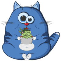 Кот Беляшик