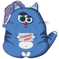 Кот Беляшик