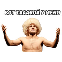 Хабиб и МакГрегор