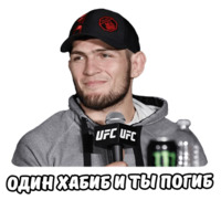 Хабиб и МакГрегор
