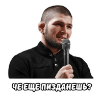 Хабиб и МакГрегор