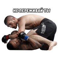 Хабиб и МакГрегор