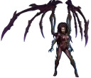Heroes of the Storm