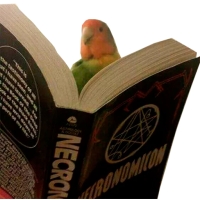 Блядские папуги