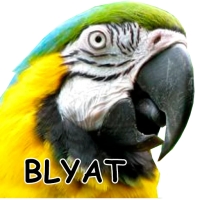 Блядские папуги