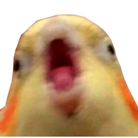 Блядские папуги