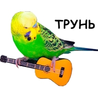 Блядские папуги