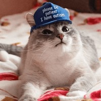 Сломанные животные