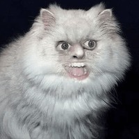 Сломанные животные