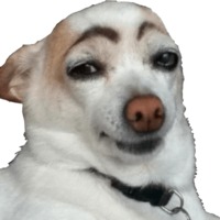 Сломанные животные
