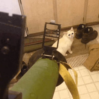 Сломанные коты 2