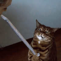 Сломанные коты 2