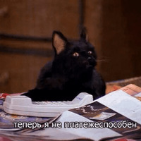 Сломанные коты 2