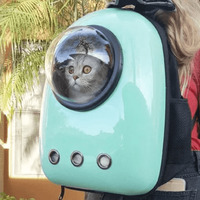 Сломанные коты 2