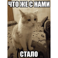 Сломанные коты 2