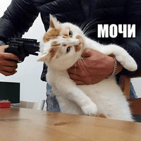 Сломанные коты 2