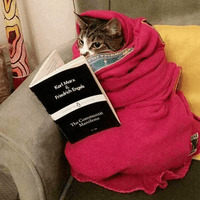 Сломанные коты 2