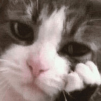 Сломанные коты 2