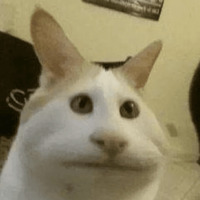 Сломанные коты 2