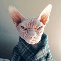 Сломанные коты 2