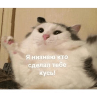Сломанные коты 2