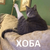 Сломанные коты 2