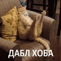 Сломанные коты 2