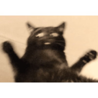 Сломанные коты 2