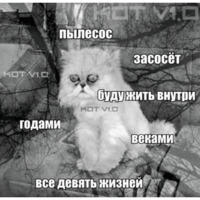 Сломанные коты 2