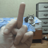 Сломанные коты 2