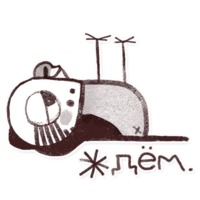 Попугай Аркадий