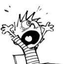 Calvin & Hobbes