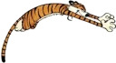 Calvin & Hobbes