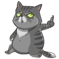 Кошки