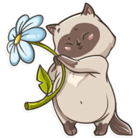 Кошки