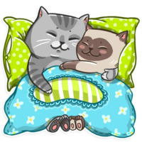 Кошки