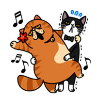 Смешные коты