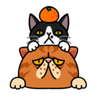 Смешные коты