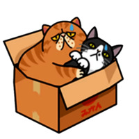 Смешные коты