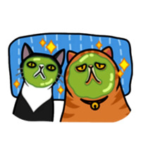 Смешные коты
