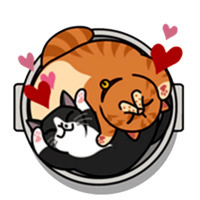 Смешные коты