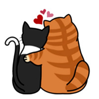 Смешные коты