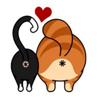Смешные коты
