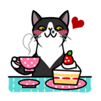 Смешные коты
