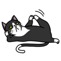 Смешные коты