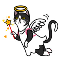 Смешные коты