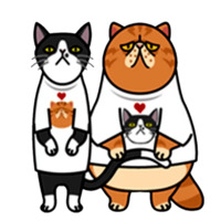Смешные коты