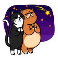 Смешные коты