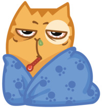 Персик кот