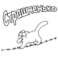 Кот Саймона